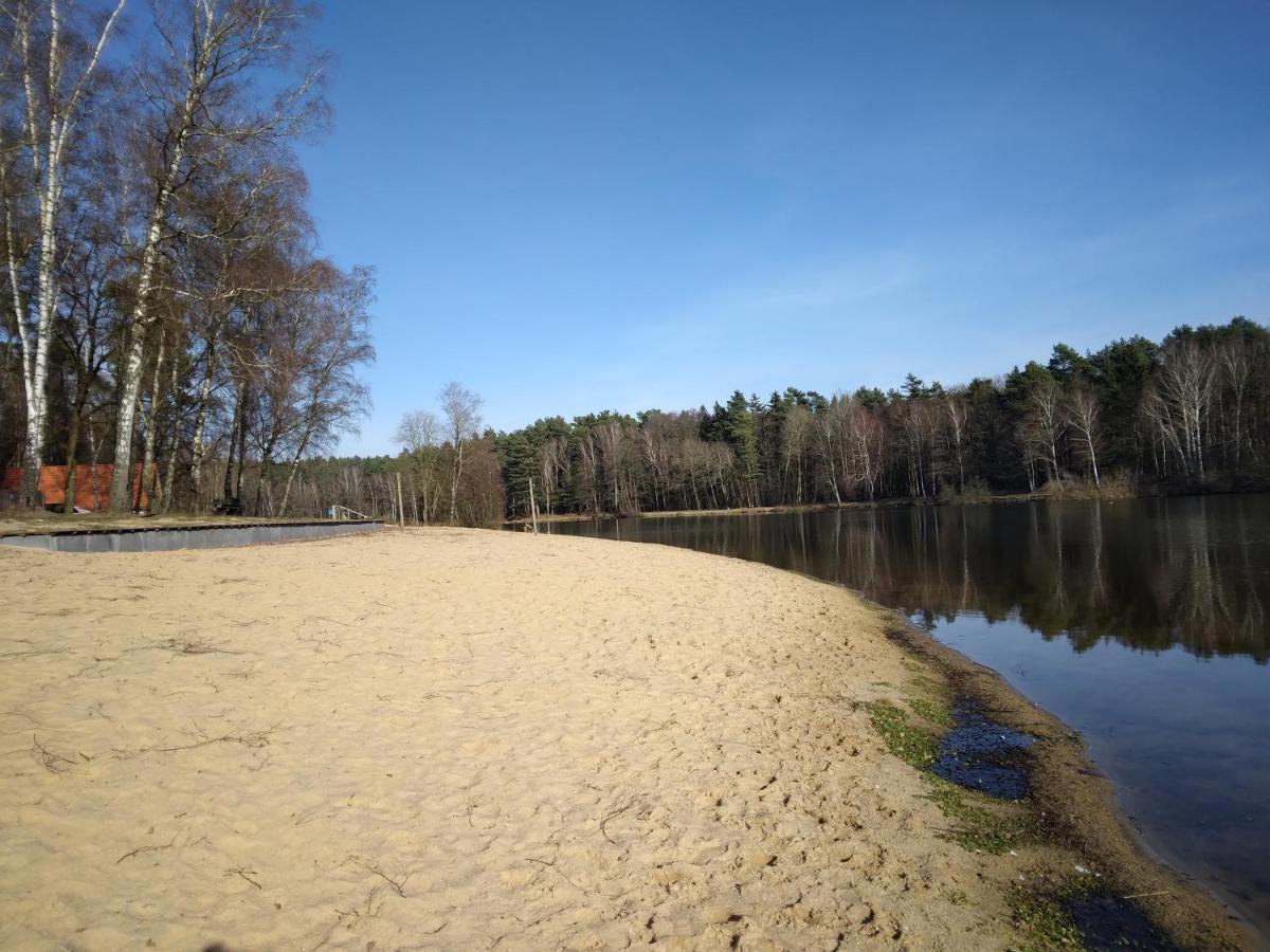 Suderburg Waldhaus Hilde 빌라 외부 사진