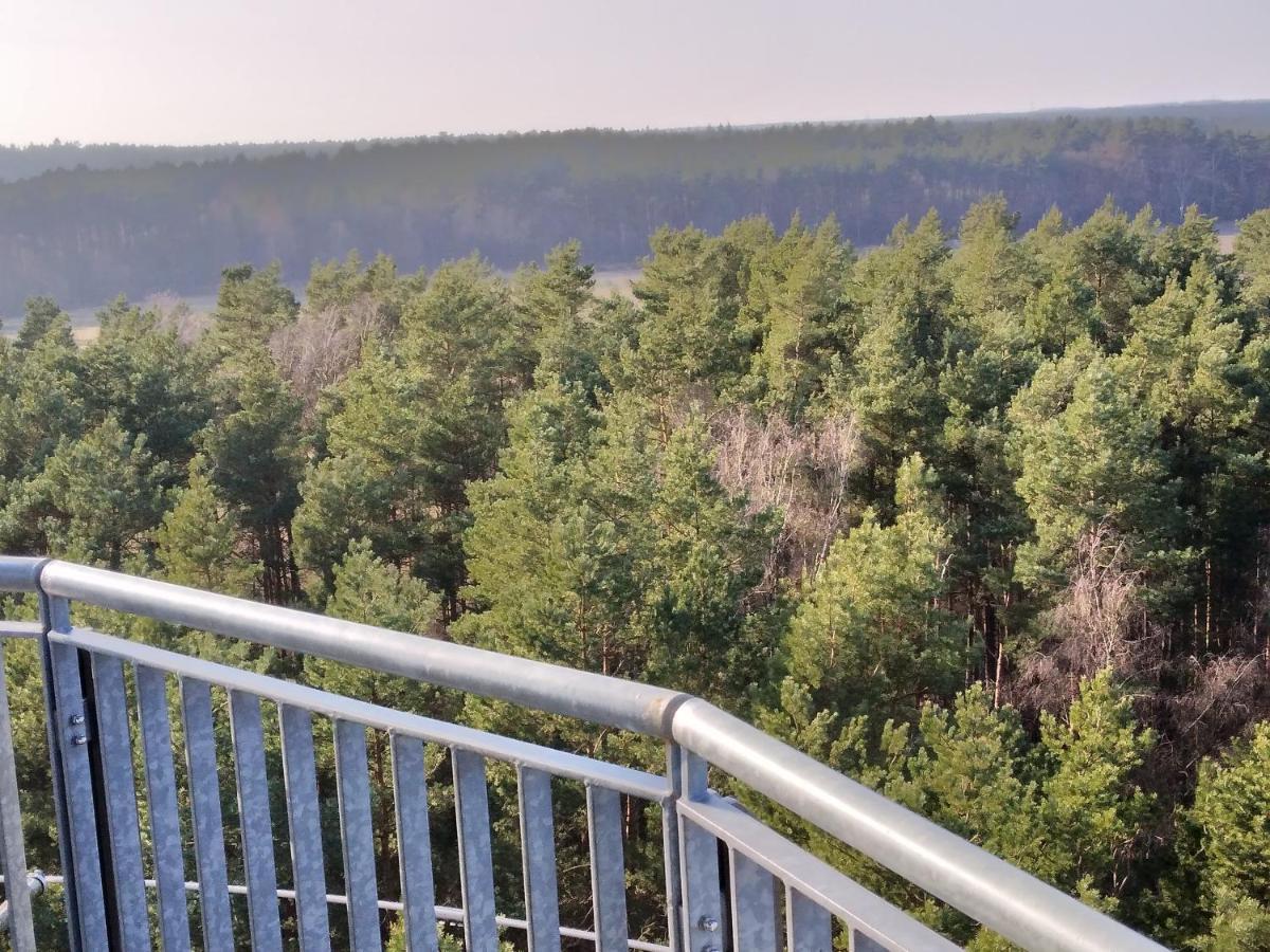 Suderburg Waldhaus Hilde 빌라 외부 사진